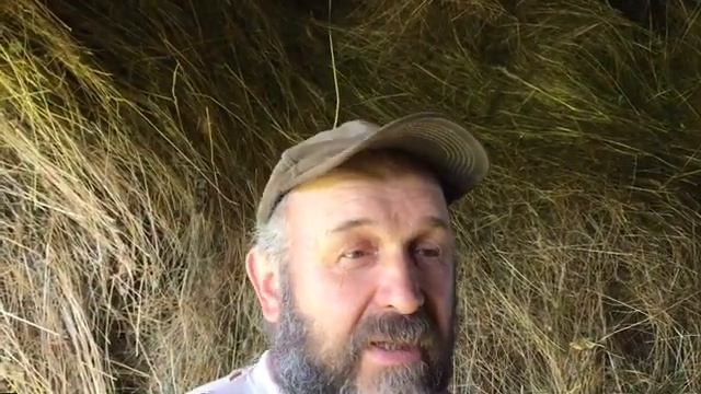 Сенокос завершён! смотреть онлайн