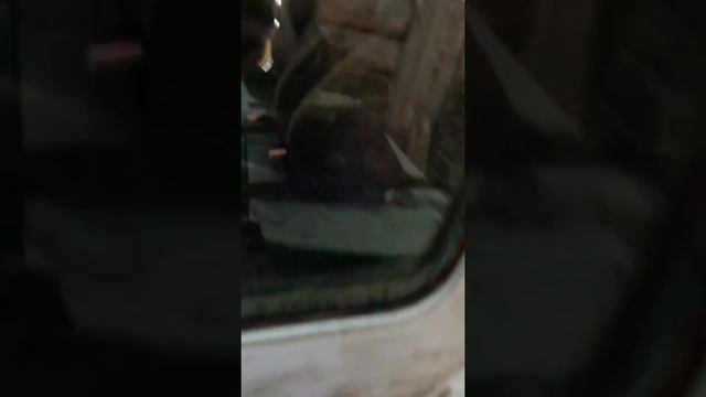 Первая попытка запуска МОТЫЛЯ после замены двига смотреть онлайн