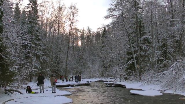 Линдуловская роща зимой | Интересные места Ленинградской области смотреть онлайн