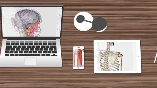 New Generation Learners | 3D Organon Anatomy смотреть онлайн