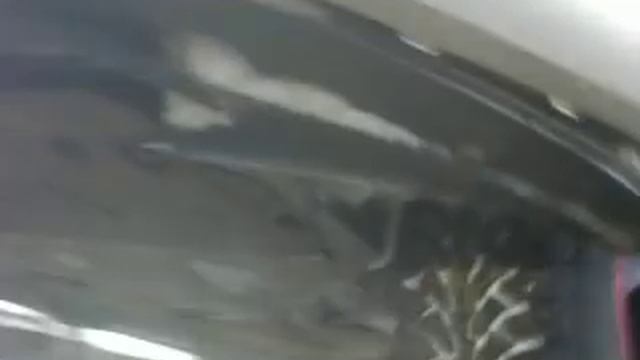 Спасение кошки смотреть онлайн