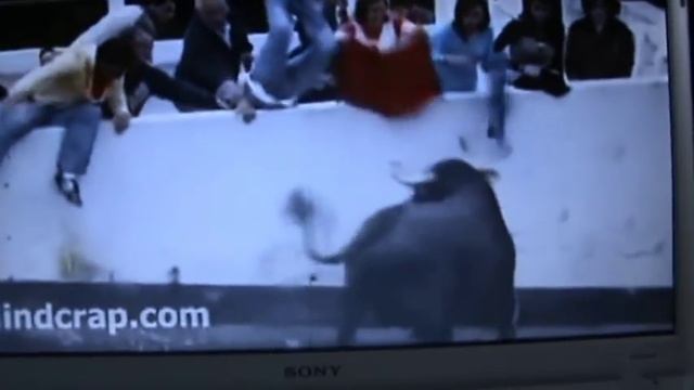 Опасные быки Испании! смотреть онлайн