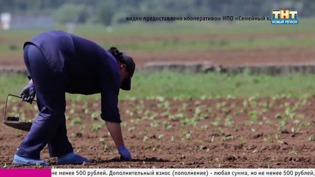 Семейный капитал смотреть онлайн