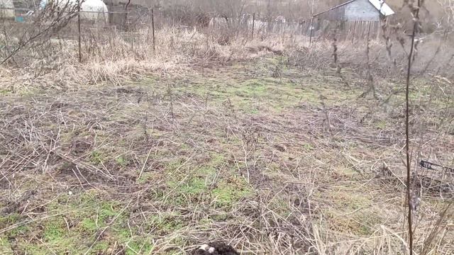 Не было печали, купила Лена... огород смотреть онлайн