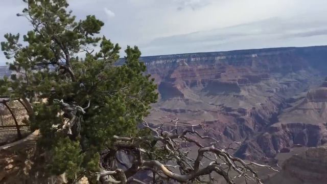 Grand Canyon Vlog cz.1 ! смотреть онлайн