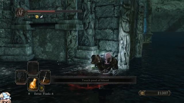 The Land Of 1000 Mages - DS2 Augur Of Darkness Funny Moments #15 смотреть онлайн