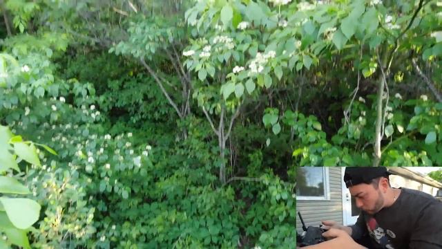 DRONE CATCHES CARTOON DOG AT HAUNTED FOREST!! (WE FOUND HIM!) смотреть онлайн