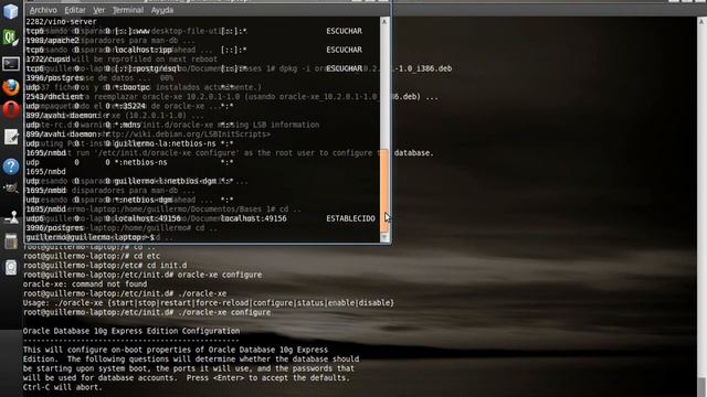 Instalación de Oracle 10g XE en Linux Ubuntu смотреть онлайн