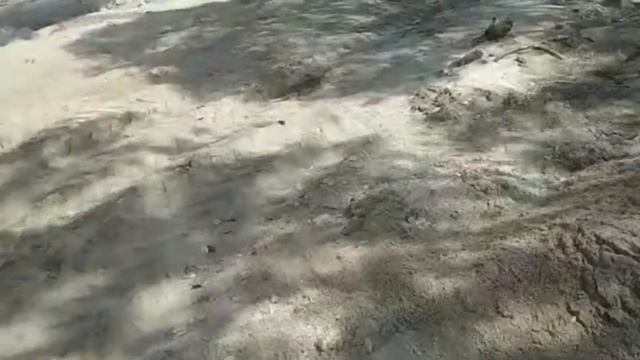 Строительство дома на необжитом участке. Часть 4: Заканчиваем копку пруда, продолжаем выравнивание смотреть онлайн