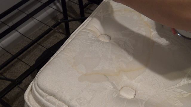 DO THIS to REMOVE PEE STAINS From Your MATTRESS!! 💥 (AMAZING RESULTS)!!! смотреть онлайн