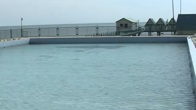 Сюжет Скадовск туризм 22,04,2014 смотреть онлайн