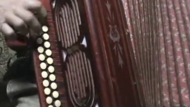 Сиреневый туман, ноты в цифрах. Играй гармонь. смотреть онлайн