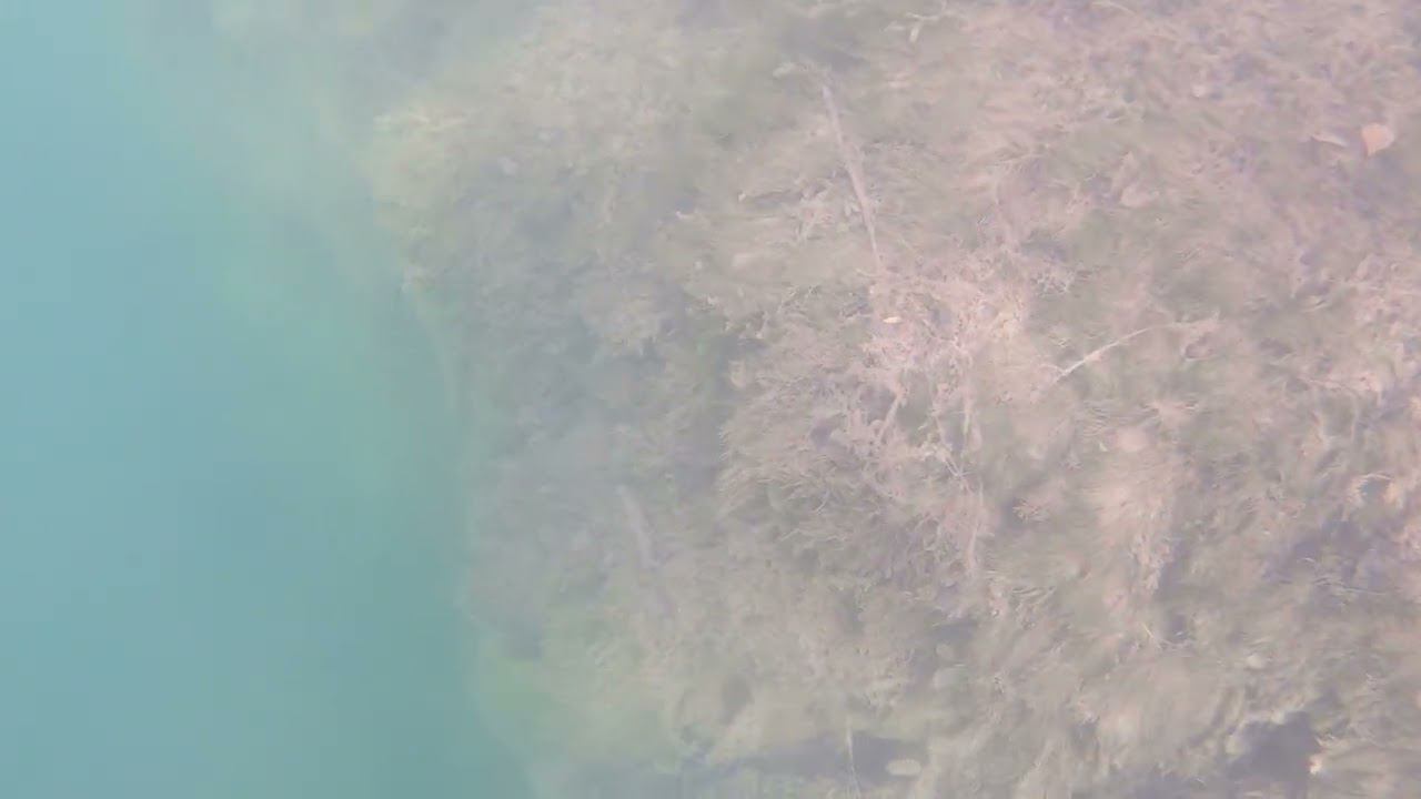 19.08.2022_6 смотреть онлайн