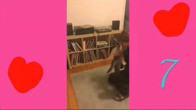 Очень милые gif с котиками милота☆ смотреть онлайн