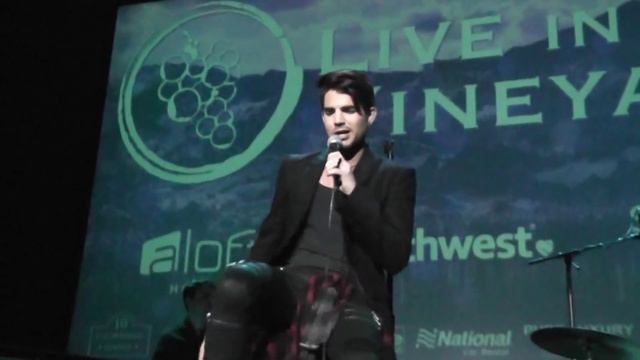 Adam Lambert - The Light and Another Lonely Night - Live In the Vineyard 2015 11 06 007 смотреть онлайн