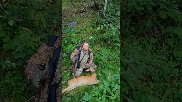 Охота на самца косули с манком во время гона. Сезон 2020. смотреть онлайн