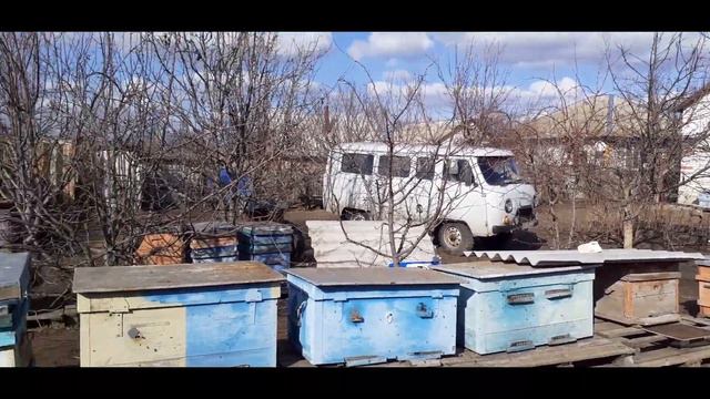 Первый день весны 01.03.20.Облёт пчёл.