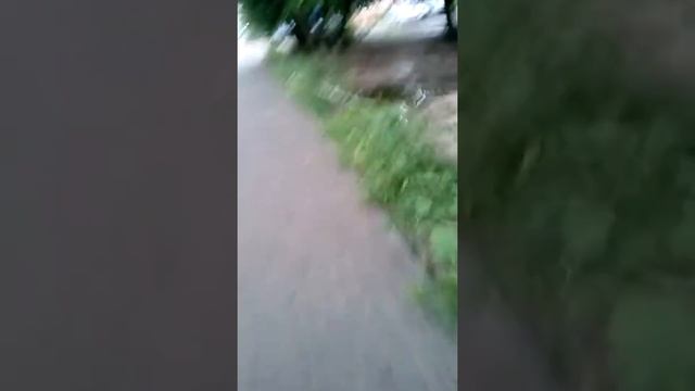 Ливень!! Воронеж!! Ужассс нас затопили!! смотреть онлайн