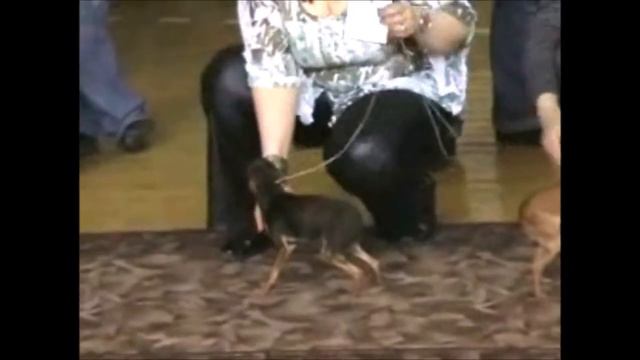 2008г 20 апреля, моно Красноярск ЮНИОРЫ г.ш. смотреть онлайн