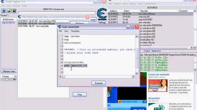 Wild Ones Kamehameha Wave Hack смотреть онлайн