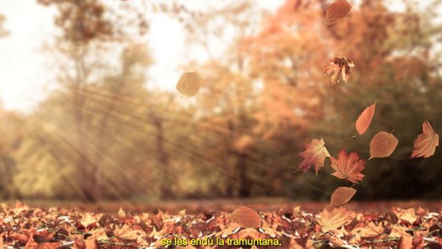 Les fulles seques. Enric Morera/Àngel Guimerà. ARSinNOVA Cor de Cambra смотреть онлайн