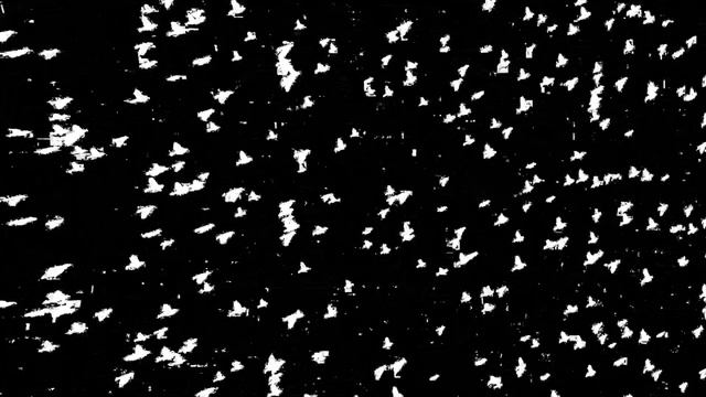 who was the girl that was on your side?