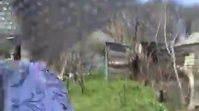 ВидеоДневник 24.04.2011 смотреть онлайн
