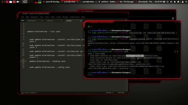 install java 8 / openjdk8 on kali linux 2020.04 ( debian ) смотреть онлайн
