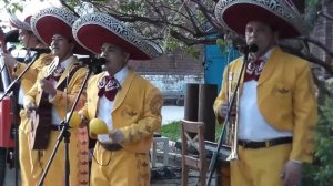 Мексиканские песни  на русском языке Москва, 8(985)920-36-97