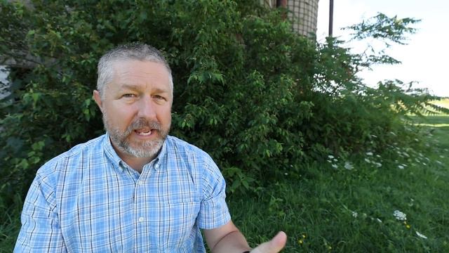 An Introduction To Past Modals: Must Have, Should Have, Would Have, And Could Have