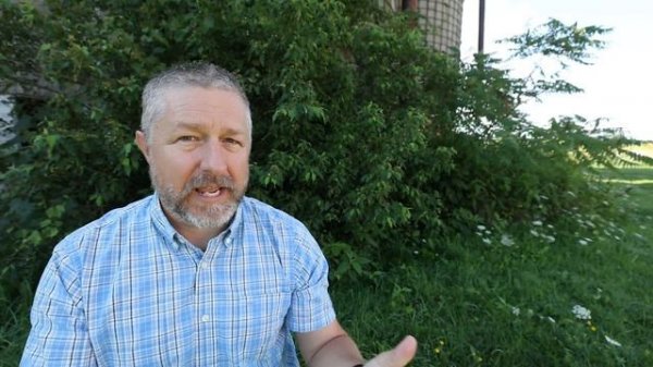 An Introduction to Past Modals: must have, should have, would have, and could have