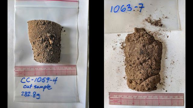 FOSSIL PLANTS found beneath MILE-DEEP GREENLAND ICE—indicating risk of rapid sea-level rise смотреть онлайн