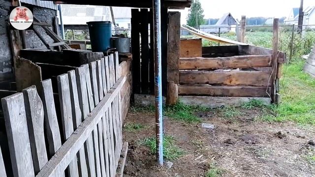 Миллион на свиньях.Выгул своими руками.Сделал железную дверь в сарай. смотреть онлайн