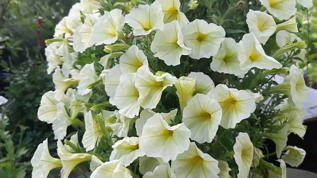 Настроение ОСЕНЬ. 30.09. 2021г смотреть онлайн