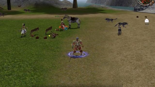 Metin2 P-server lvl 58 DS Kritt смотреть онлайн