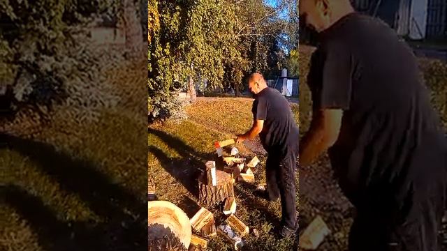 Лес рубят, щепки летят смотреть онлайн