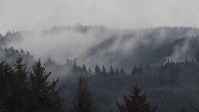 АНТЕННОЕ ПОЛЕ | Часть 3 | История на ночь | Черный Рик смотреть онлайн