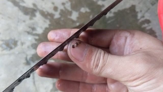 Knife making | make a knife from a beautiful saw blade смотреть онлайн