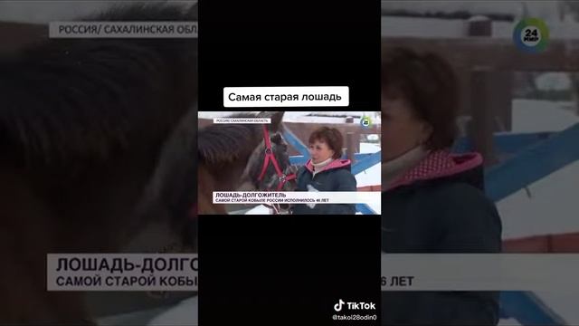 Самая старая лошадь России 138 лет жизни смотреть онлайн