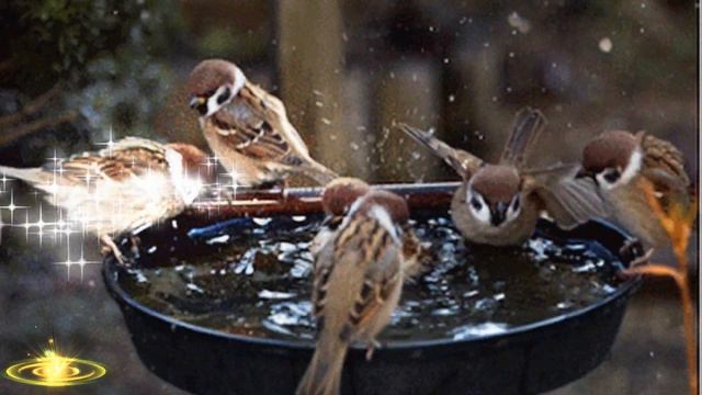 С  Великим Чистым Четвергом! Музыкальное поздравление