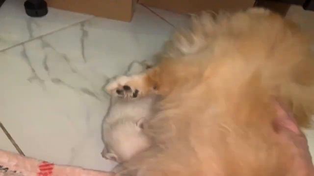 Навели порядок, но конечно не надолго. смотреть онлайн