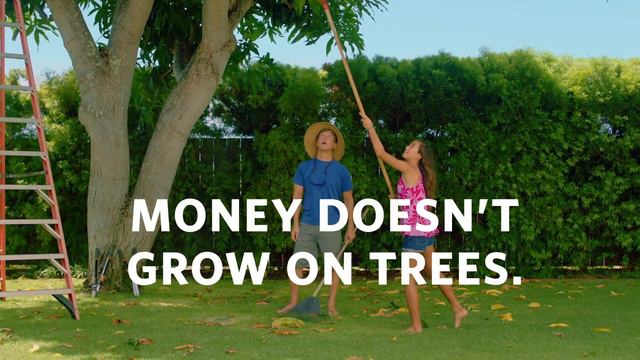Hawaii National Bank "Money Tree" Commercial | 2019 (:15) смотреть онлайн