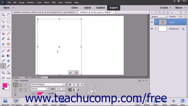 Photoshop Elements 15 Tutorial Creating Paragraph Text Adobe Training смотреть онлайн