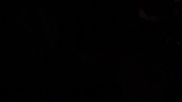 Дискотека для глухонемых смотреть онлайн