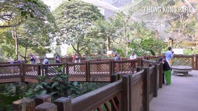 Things to do in Hong Kong for FREE | Travel Guide смотреть онлайн