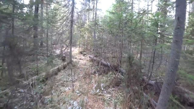 ПЕРВЫЙ СОБОЛЬ//ДЕНЬ ТРЕТИЙ смотреть онлайн