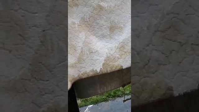 Автомойка карвер