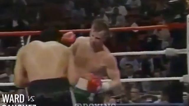 Boxing knockouts: Mickey Ward vs Alfonso Sanchez 4/12/1997 смотреть онлайн