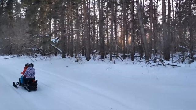 СНЕГОХОДЫ В МОИХ ЛУГАХ 2020 Самара-Тольятти смотреть онлайн