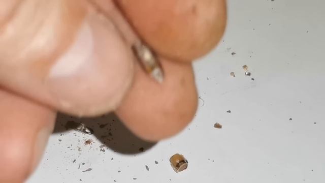 Сколько белого золота в переключателе ПР2-5 и как выгоднее сдать. смотреть онлайн